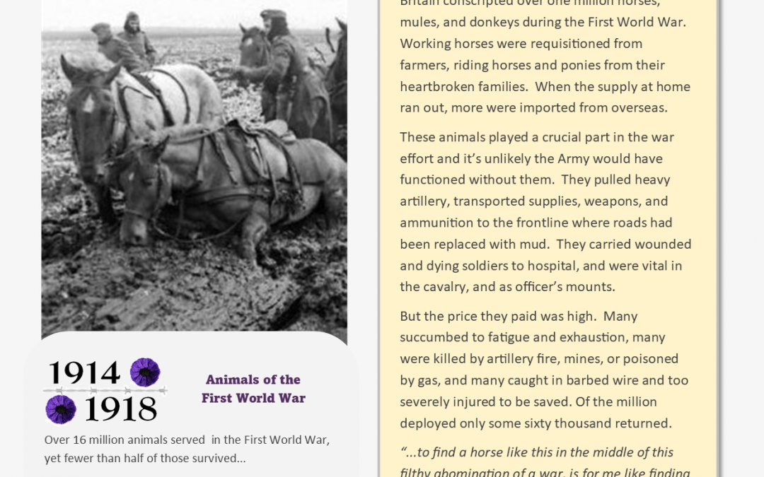 Animals Who Served – Information Sheet 10