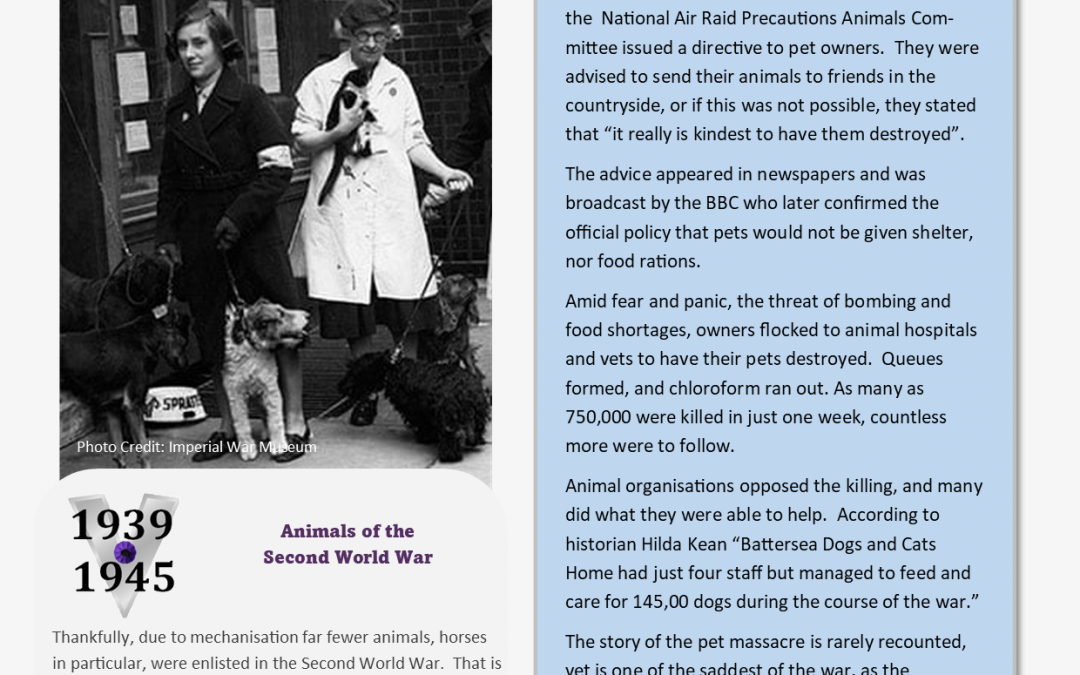 Animals Who Served – Information Sheet 11