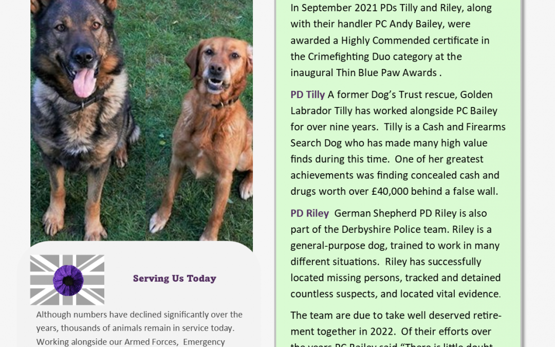 Animals Who Served – Information Sheet 12