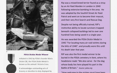 Animals Who Served – Information Sheet 13