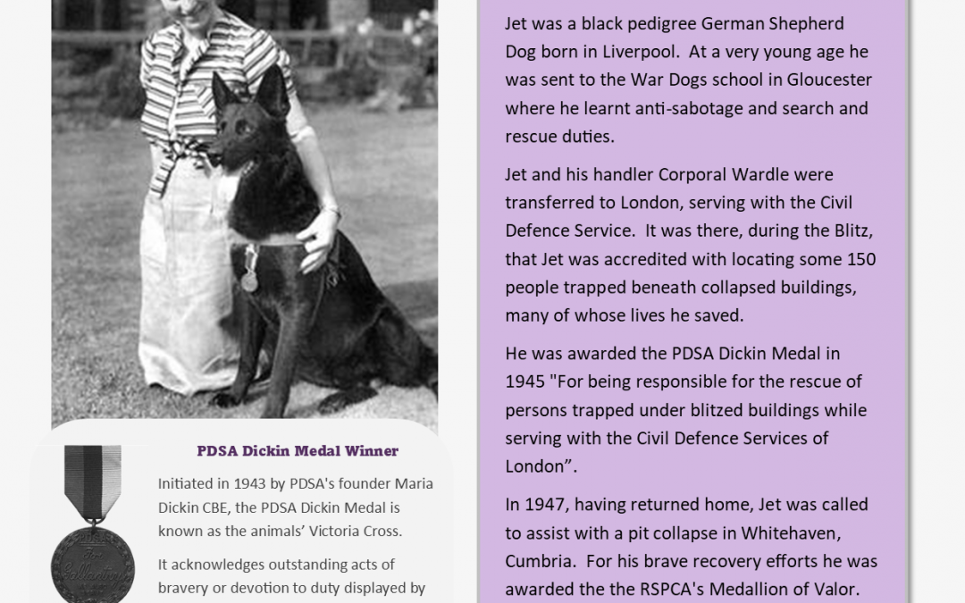 Animals Who Served – Information Sheet 14
