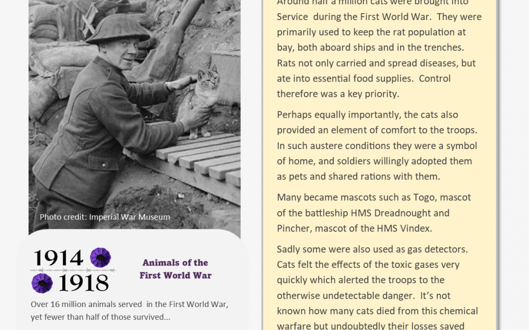 Animals Who Served – Information Sheet 6