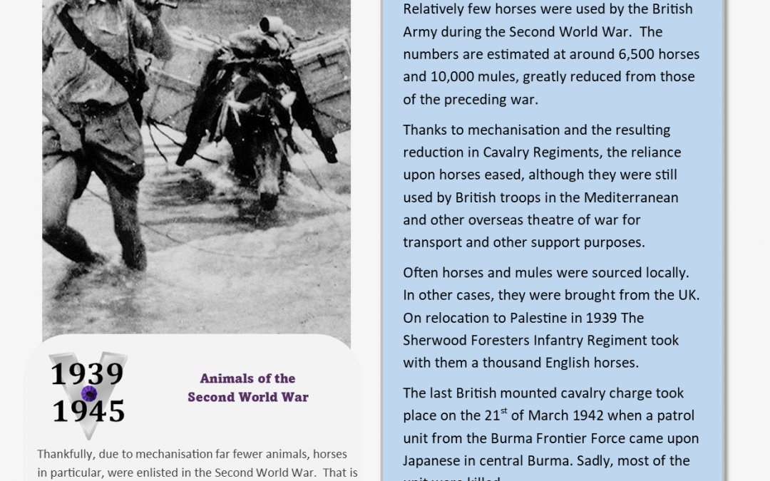 Animals Who Served – Information Sheet 7