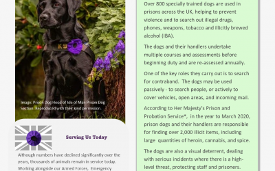 Animals Who Served – Information Sheet 8