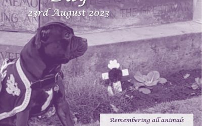 Purple Poppy Day 23rd August 2023 #PurplePoppyDay