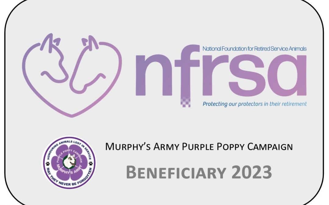 Our First Beneficiary of 2023 – The National Foundation for Retired Services Animals