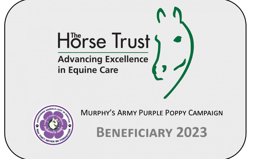 Announcing our second beneficiary – The Horse Trust